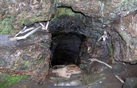 Namik Ranthan Top Trek 5N/6D